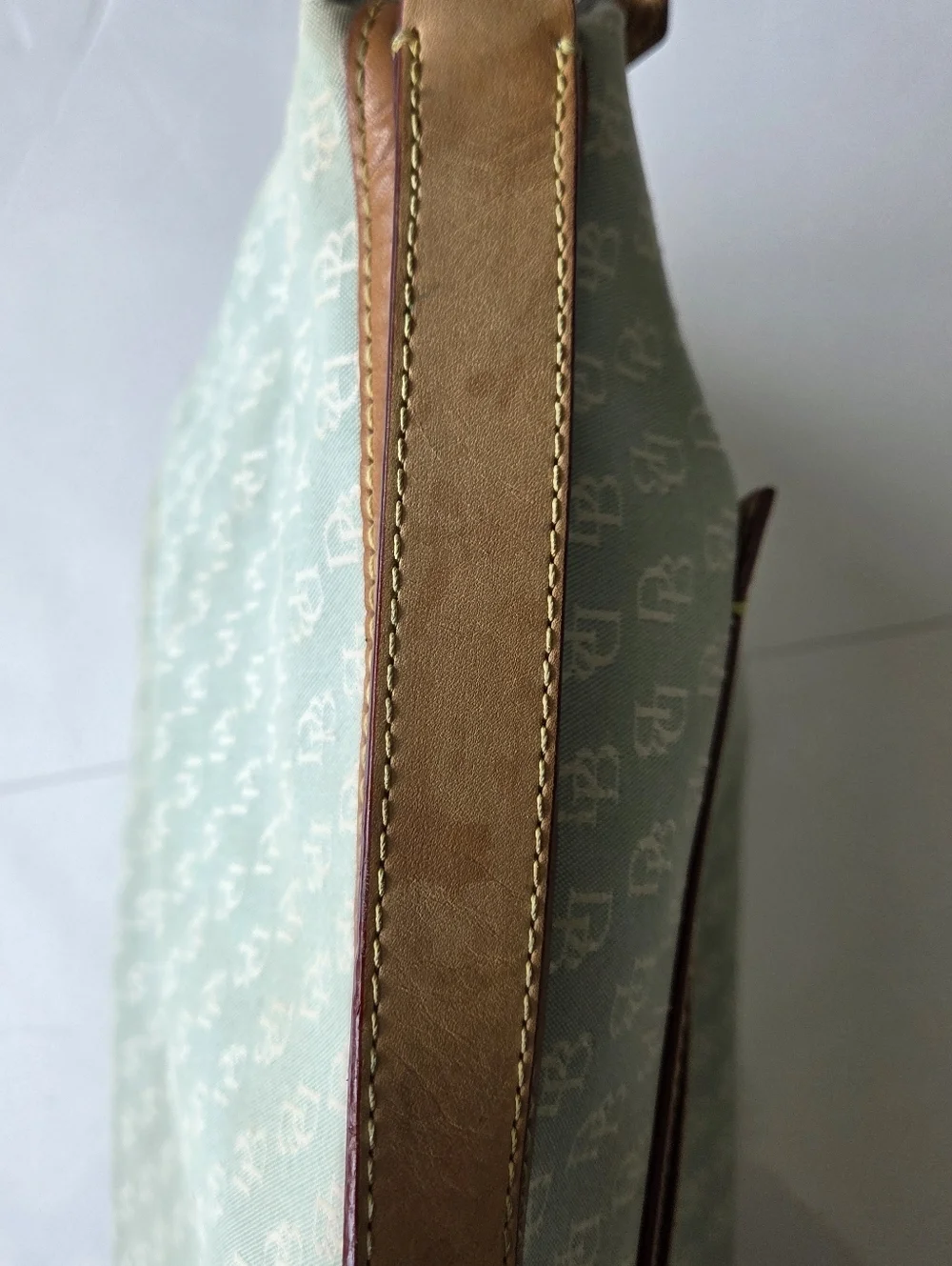 Dooney & Bourke Light Green Satchel with Tan Trim and Gold Hardware